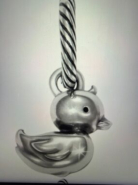 🐥🆕 Brighton Bubbles Duck Charm